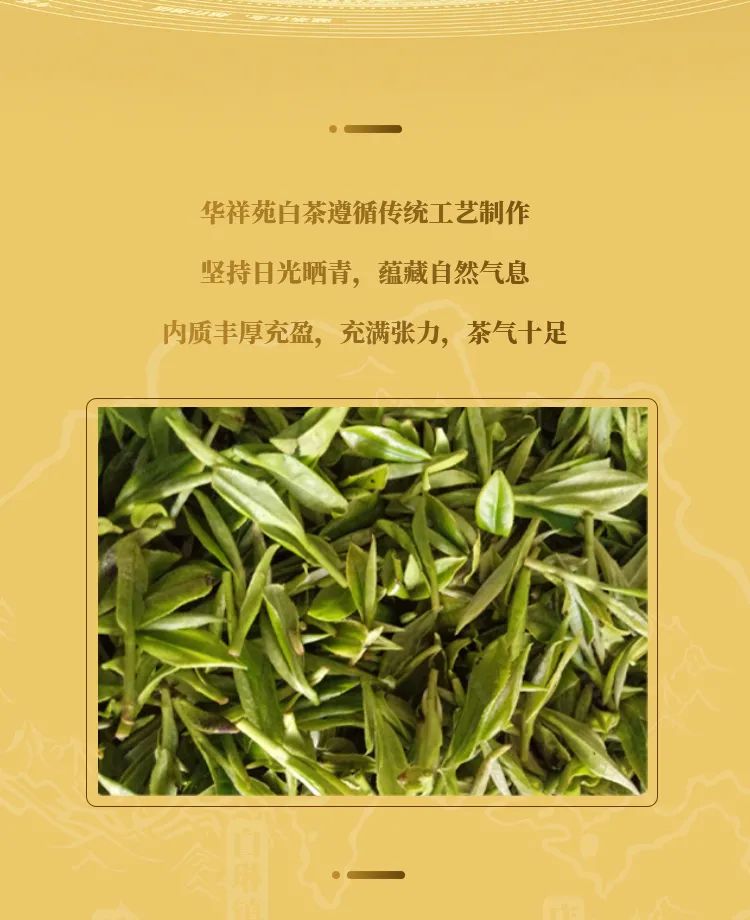 白茶收藏节