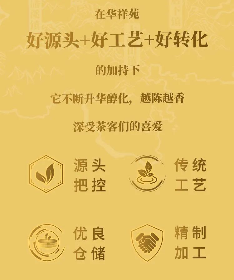 白茶收藏节