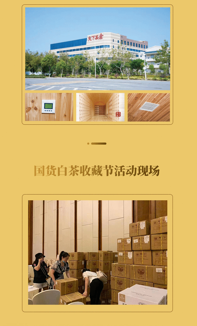 白茶收藏节