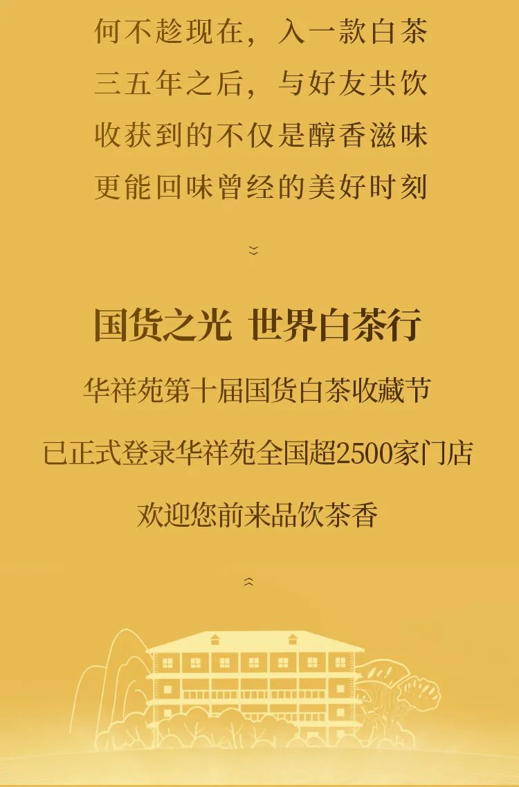 白茶收藏节