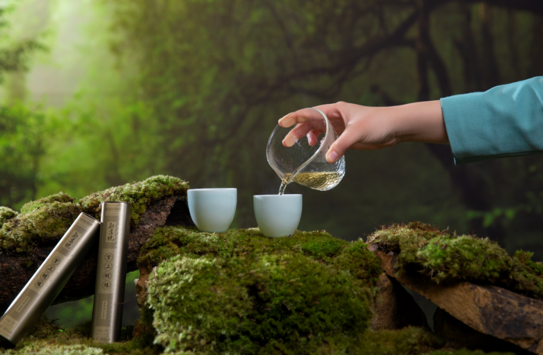 普洱茶的历史来源