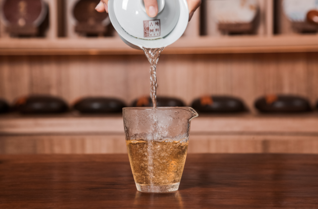 滑竹梁子古树茶