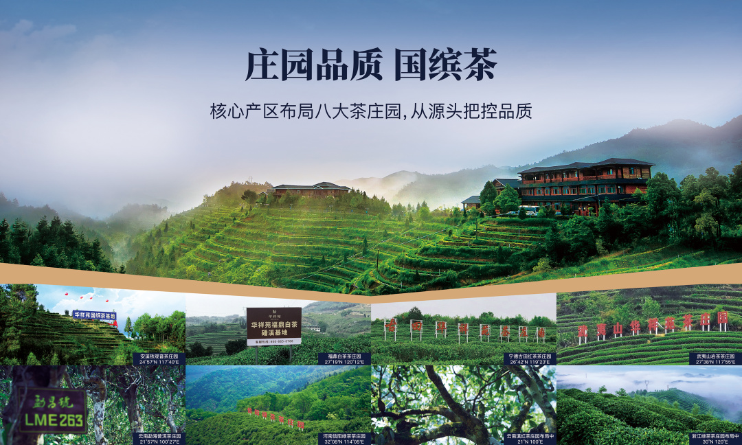 茶叶品牌加盟