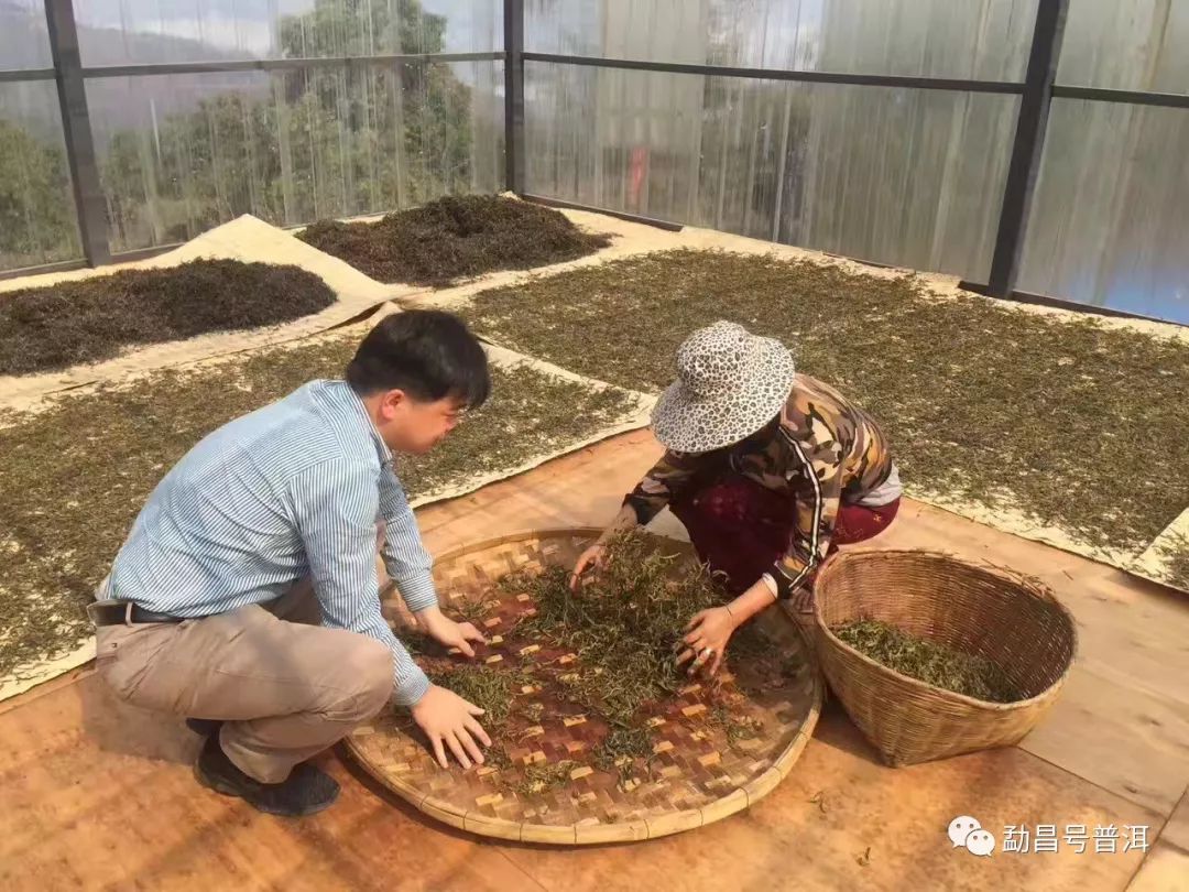 老曼峨普洱茶简介