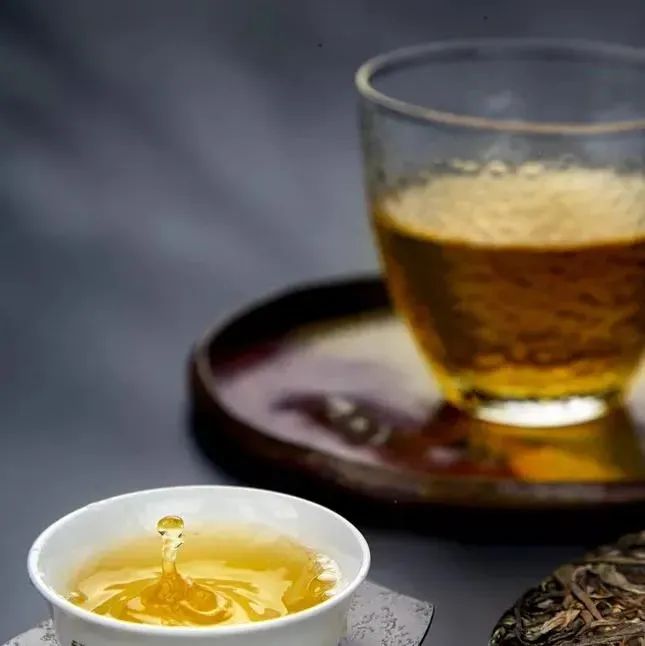 普洱头春茶好在哪里？