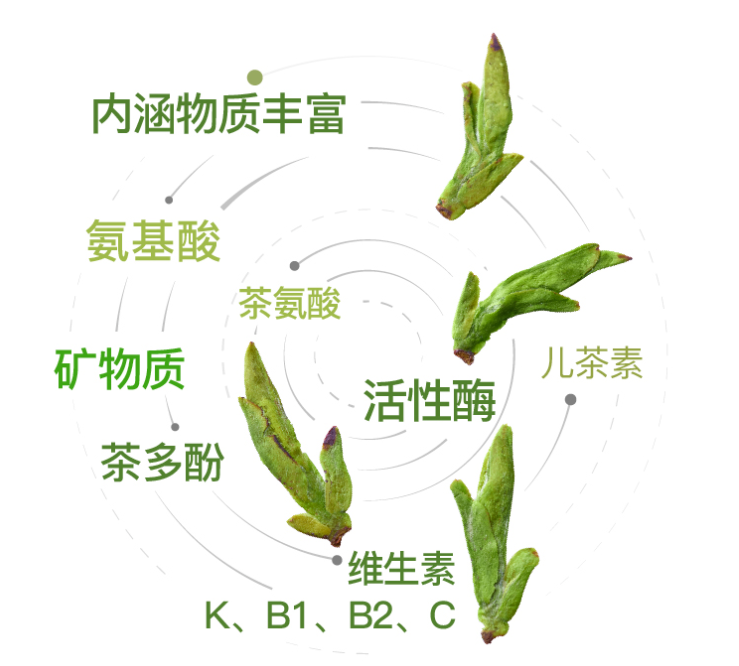 西湖龙井明前茶要怎么品鉴