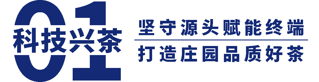 持续践行“三茶”理念 做新时代中国茶