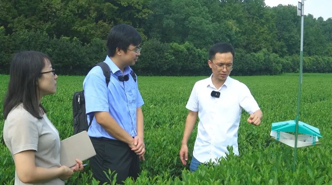 持续践行“三茶”理念 做新时代中国茶