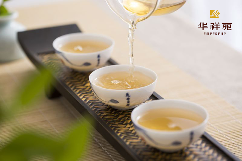 喝茶新手怎样喝白茶才是正确的？