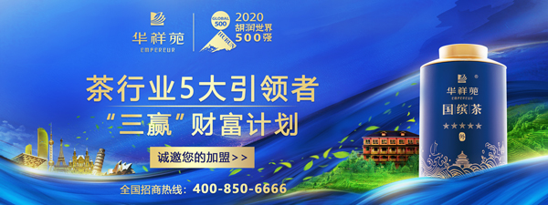 喝茶新手怎样喝白茶才是正确的？