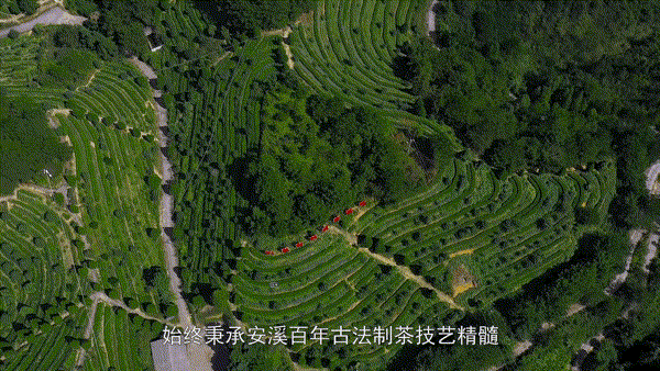 金秋十月，这里有一场寻茶之旅诚邀您前来!
