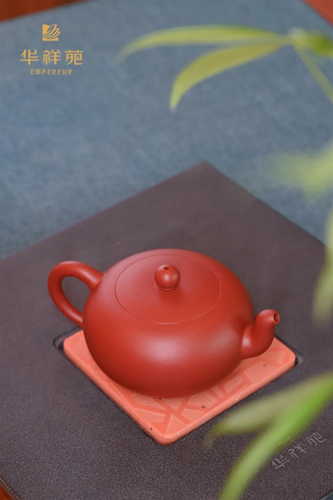 壶中四美，哪款是你的挚爱？