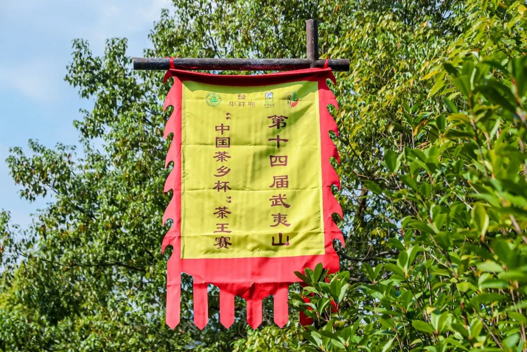 从唐宋到今天，“斗茶”斗的是什么?