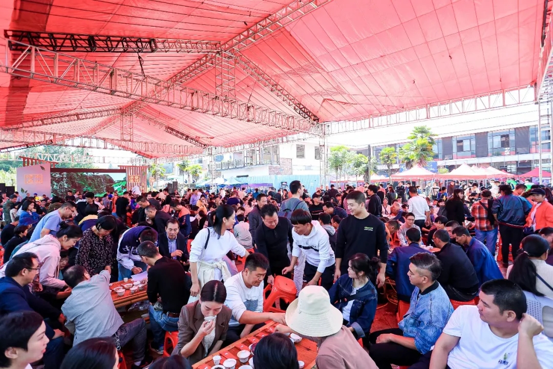 从唐宋到今天，“斗茶”斗的是什么?