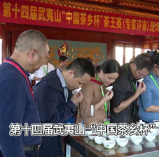 从唐宋到今天，“斗茶”斗的是什么?