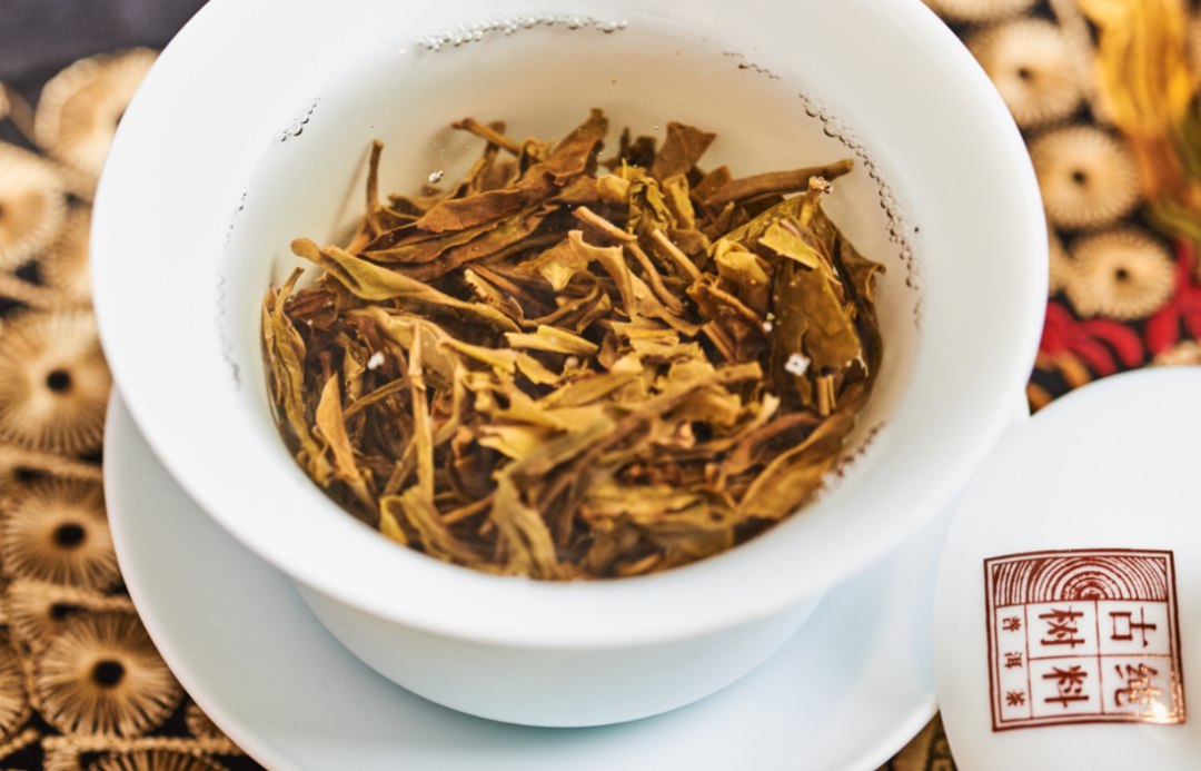如何储存普洱茶