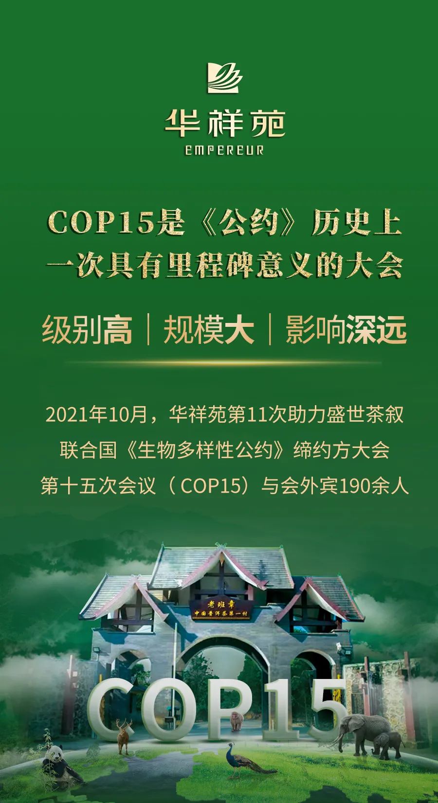 国缤COP15老班章