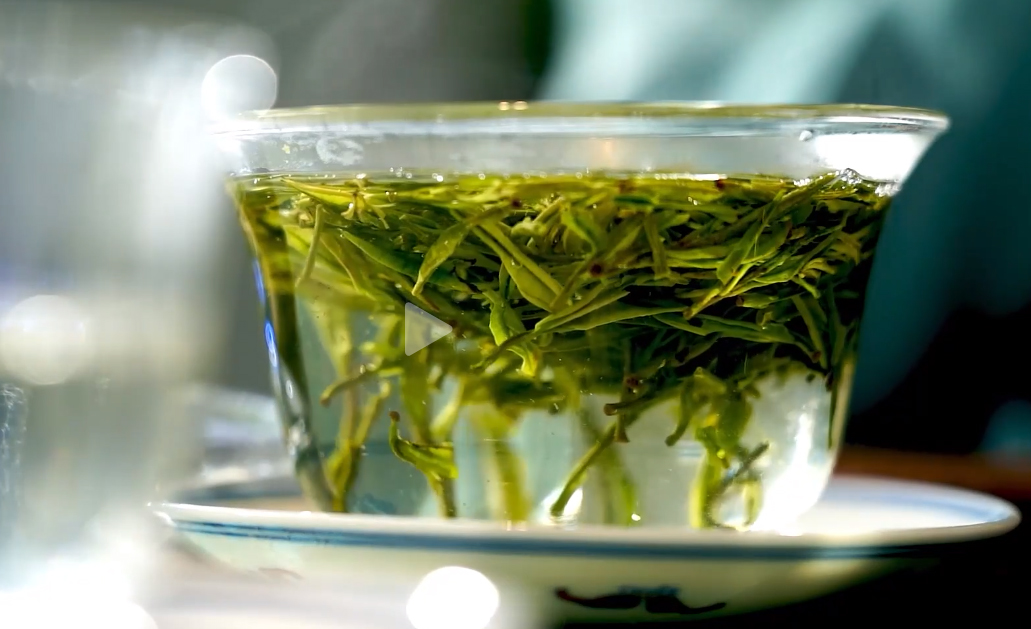 正季绿茶