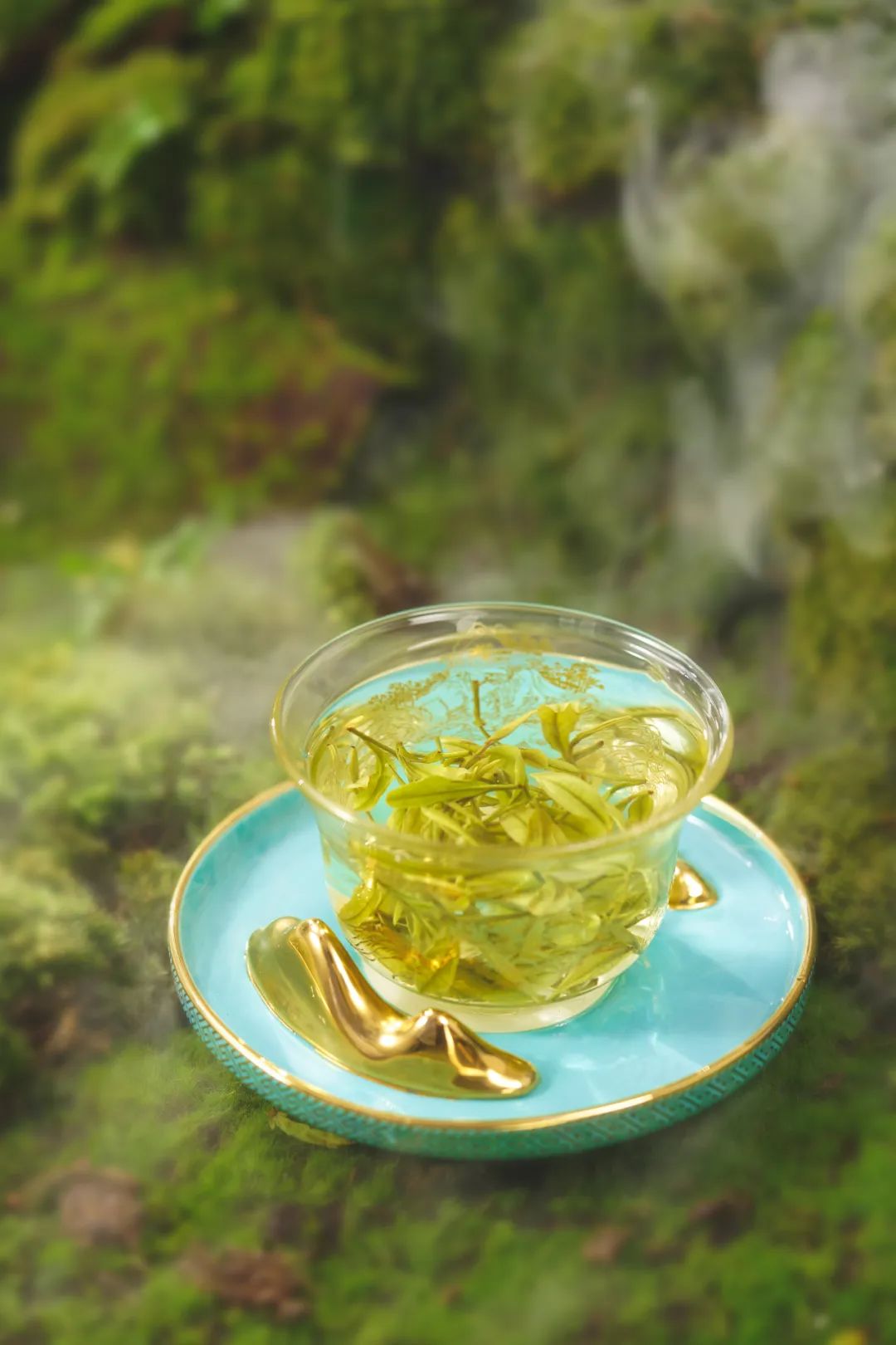正季绿茶