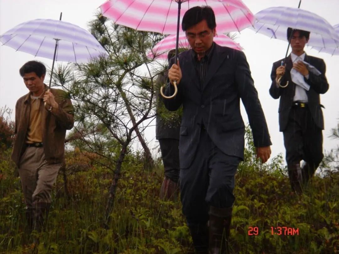 铁观音加盟