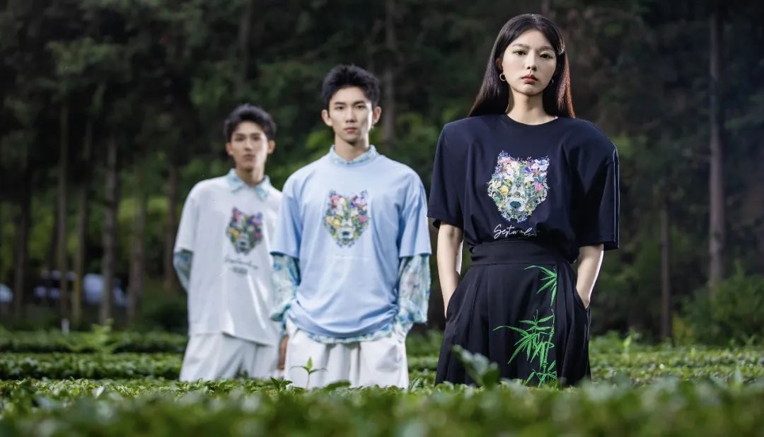 铁观音加盟