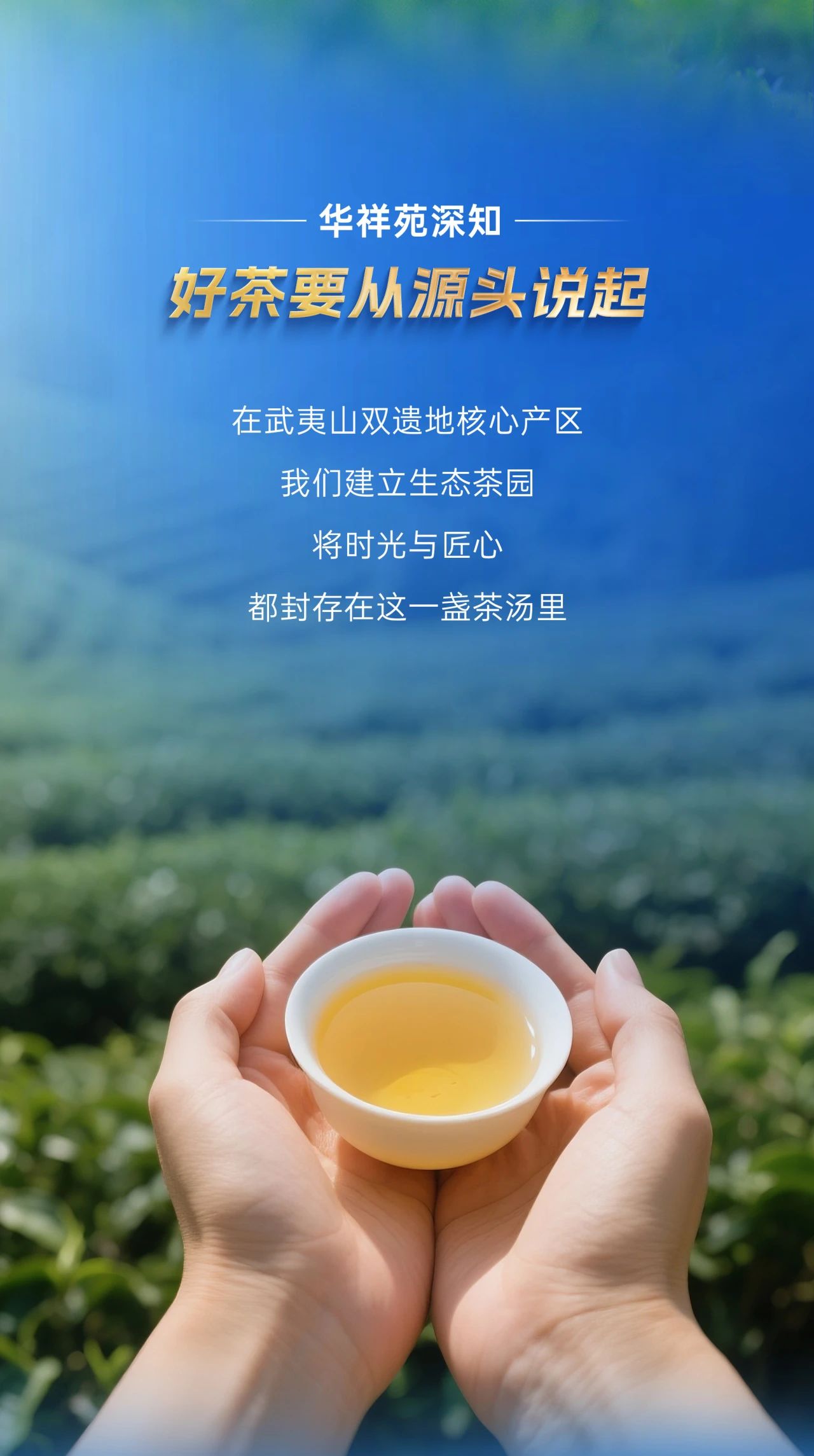 国缤茶加盟