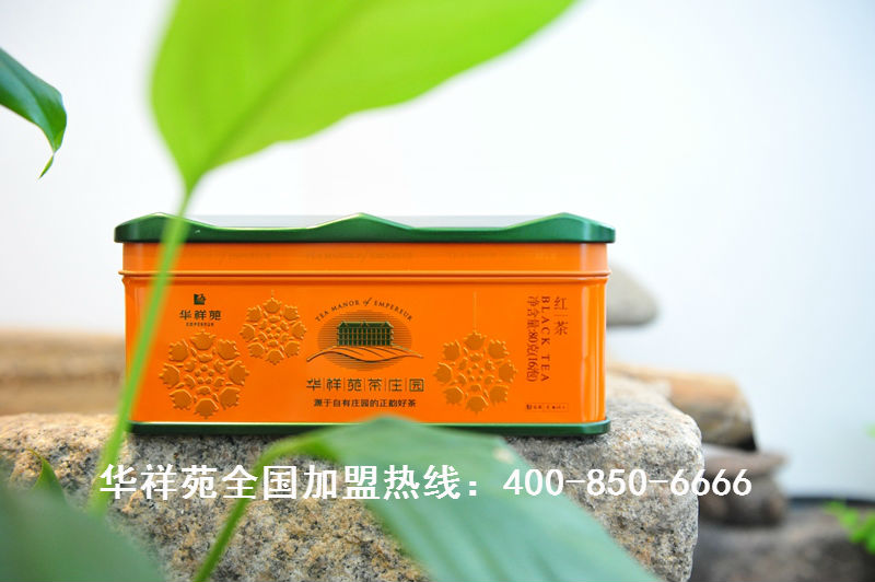 七子饼茶怎么喝