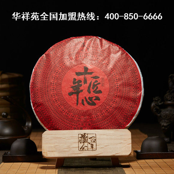 泡普洱茶